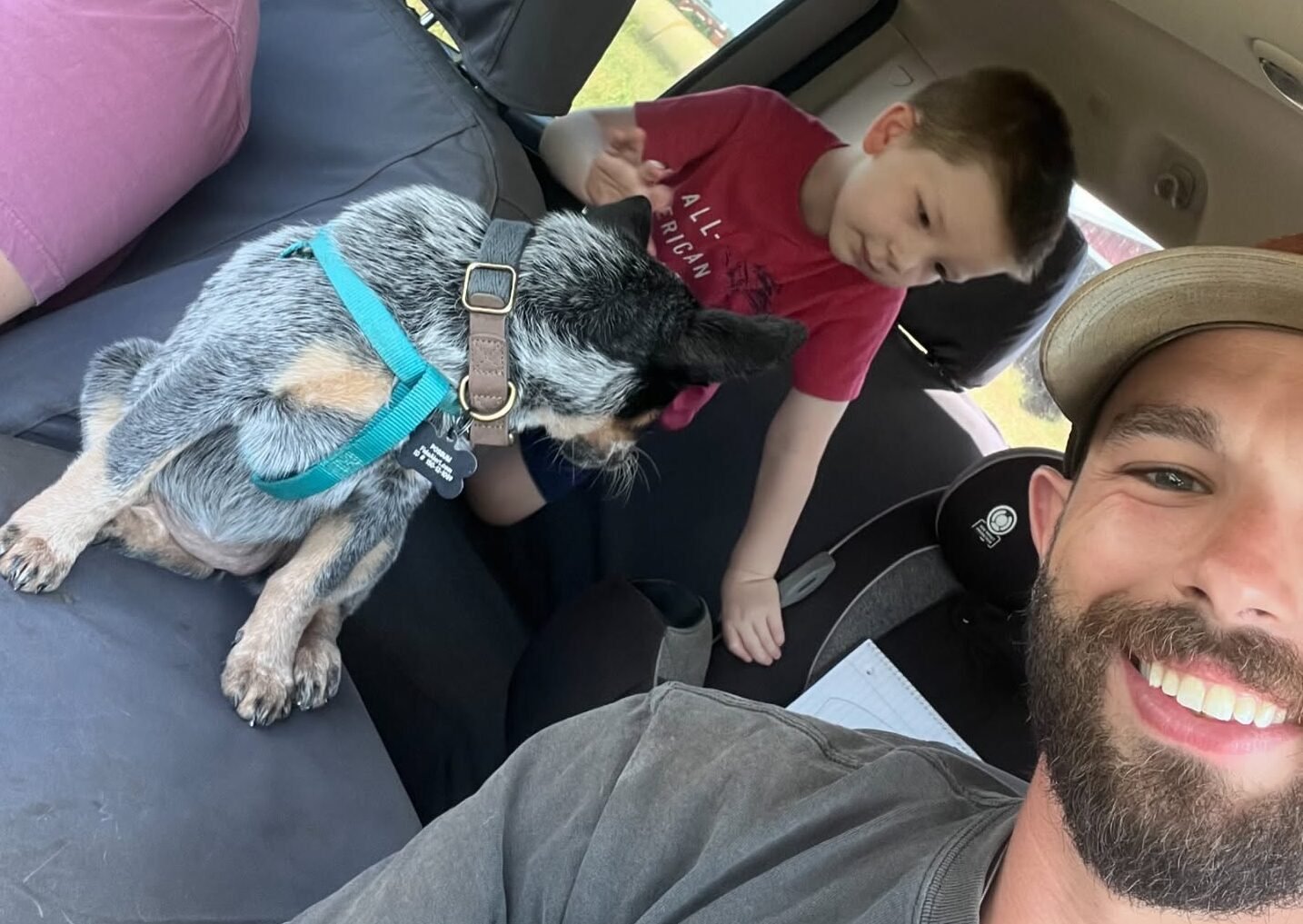 Blue Heeler puppy exploring the outdoors
